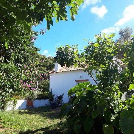 Quinta Algarve Das Relvinhas Monchique Luaran gambar