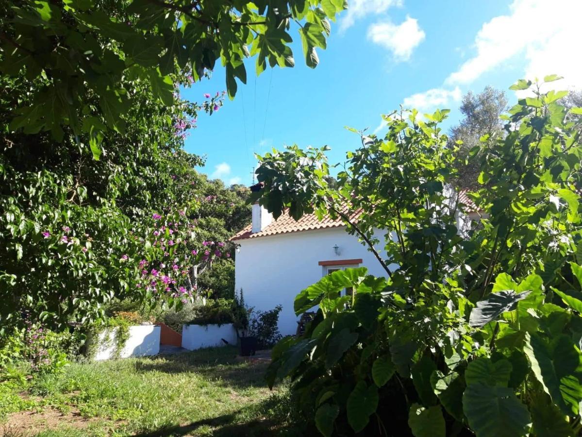 Quinta Algarve Das Relvinhas Monchique Luaran gambar