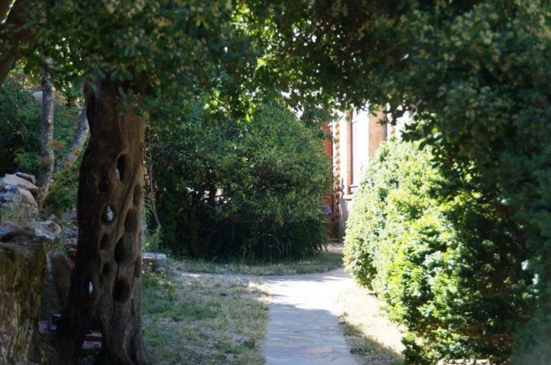 Quinta Algarve Das Relvinhas Monchique Luaran gambar