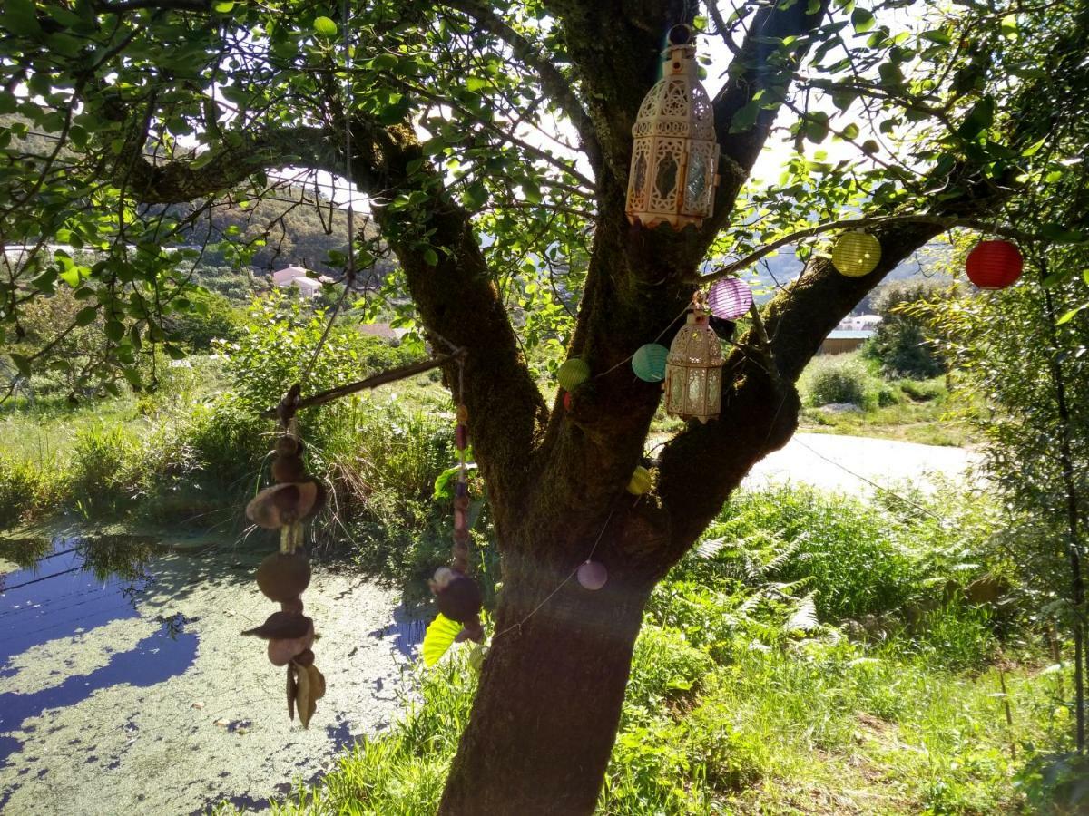 Quinta Algarve Das Relvinhas Monchique Luaran gambar