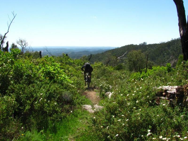 Quinta Algarve Das Relvinhas Monchique Luaran gambar